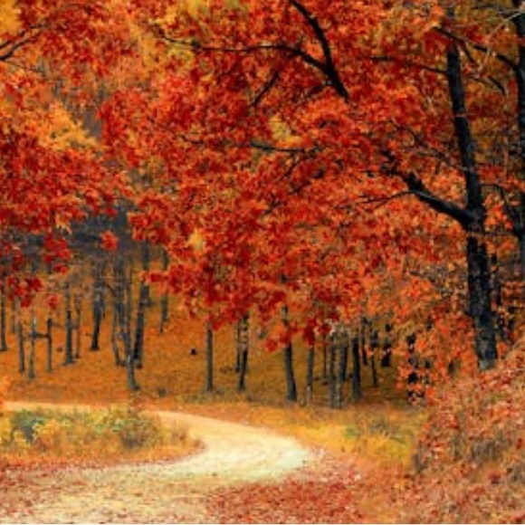 Closet clear out silent show on now! - Picture 1 of 1